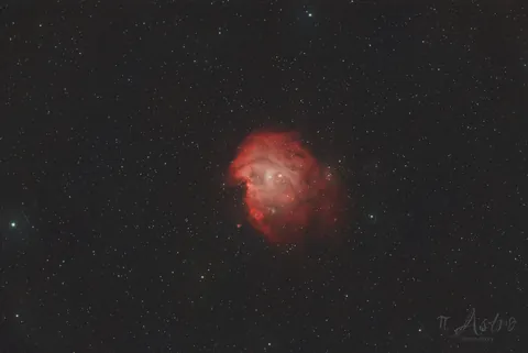 Monkey Head Nebula - NGC 2174/2175
